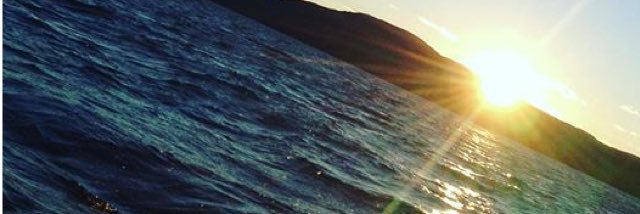 amy_kosowski's profile banner image