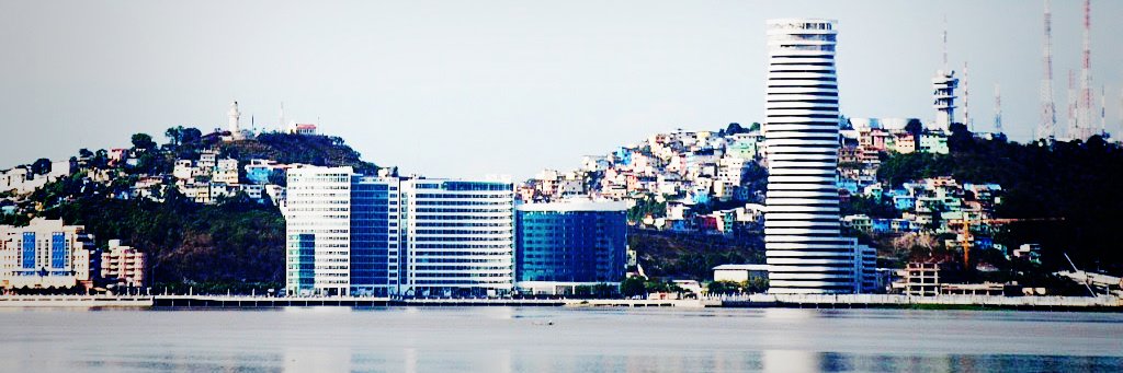 robertinocho's profile banner image