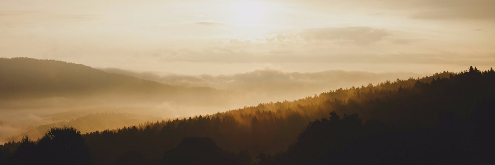 ImmanuelKnox's profile banner image
