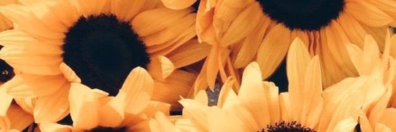 xRenex_'s profile banner image