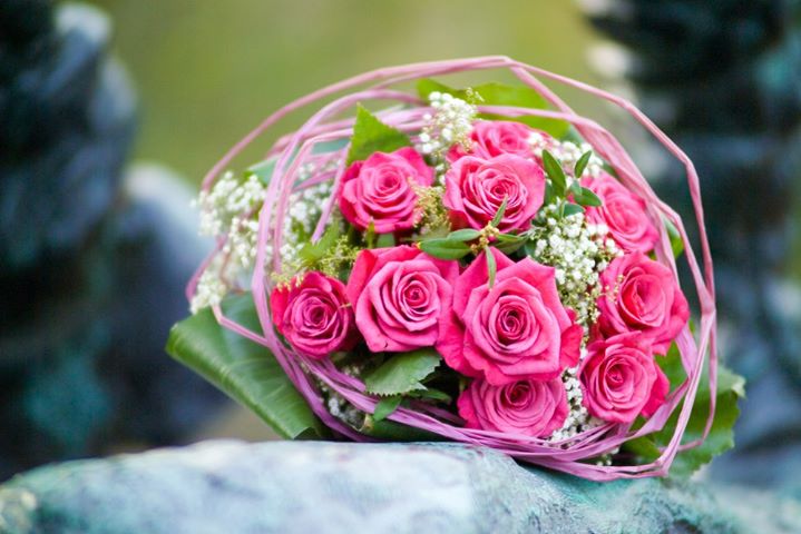 Miquel Nolite Timere banner