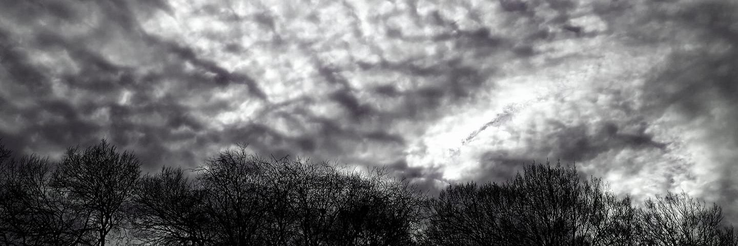 Unprotected Future First banner