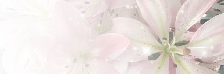 Pharimta's profile banner image