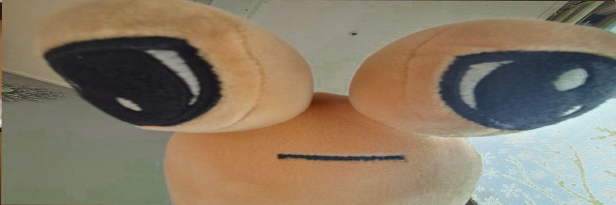 orangecannibal's profile banner image