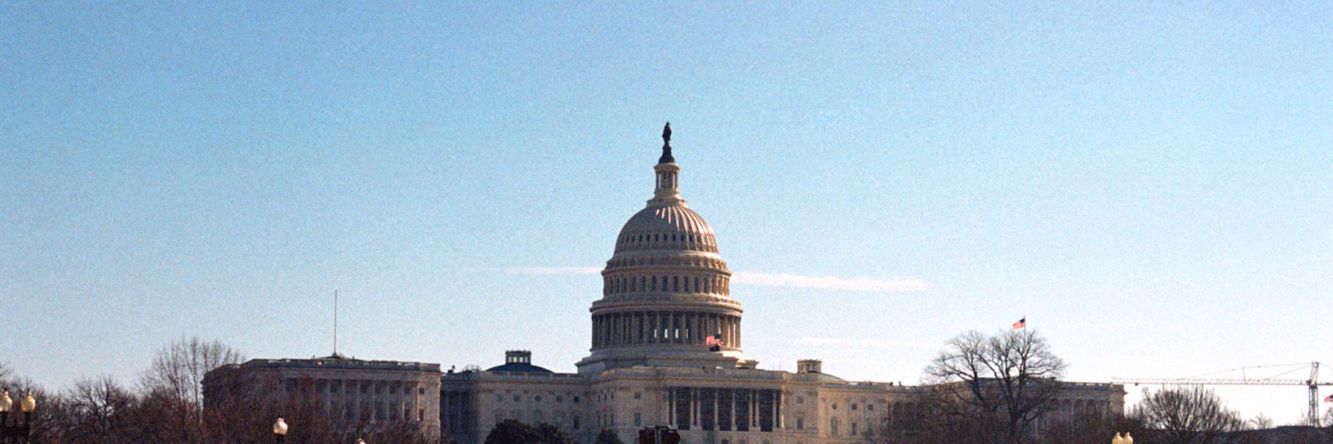 Young Americans banner