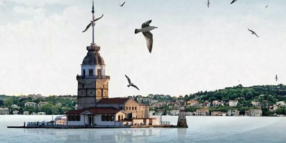 halisekaya1's profile banner image