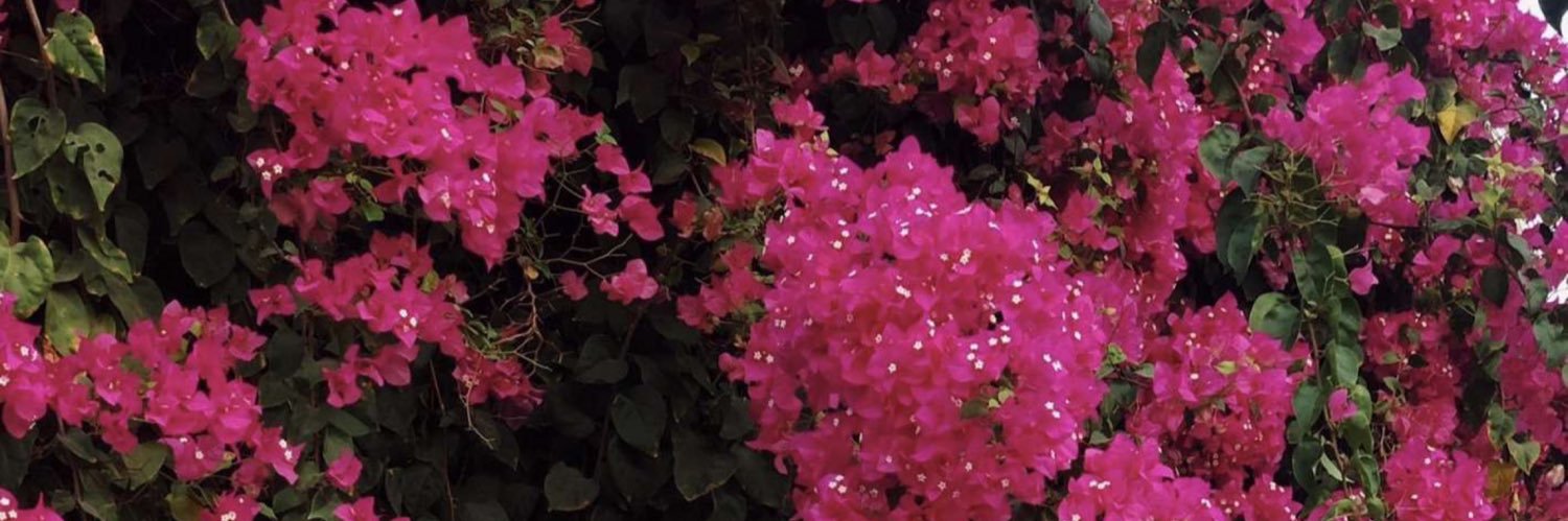 llleo21's profile banner image