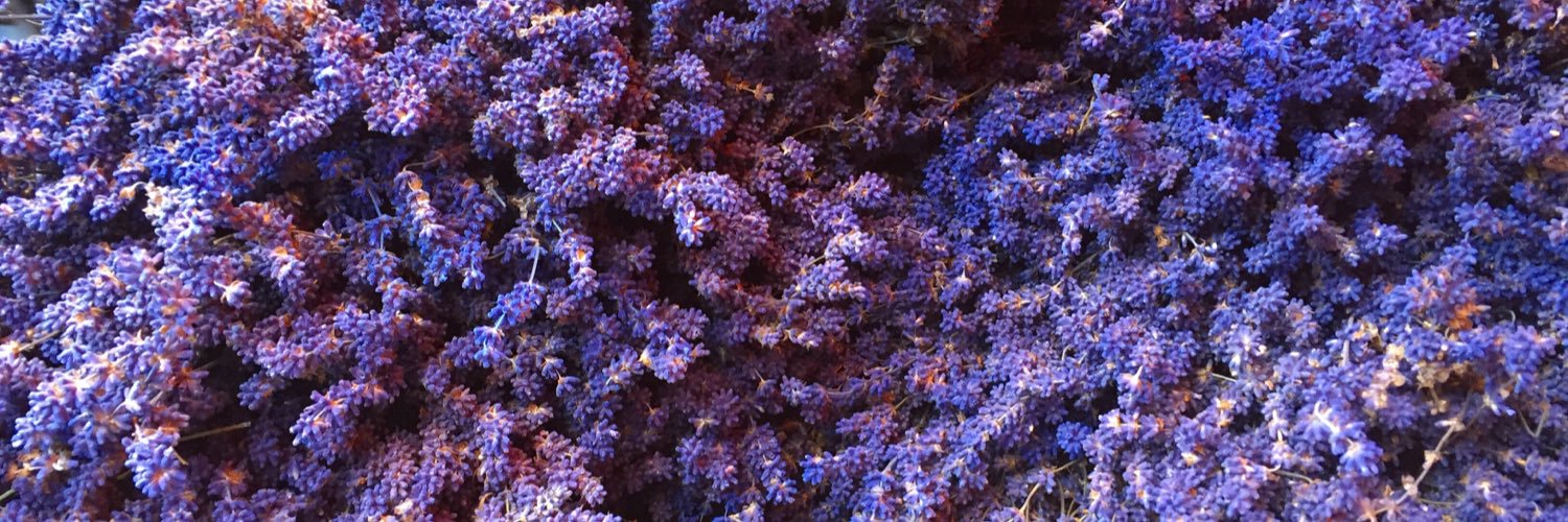 mcdiduch's profile banner image