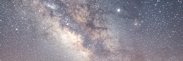 LeilaVenzor4 Profile Banner