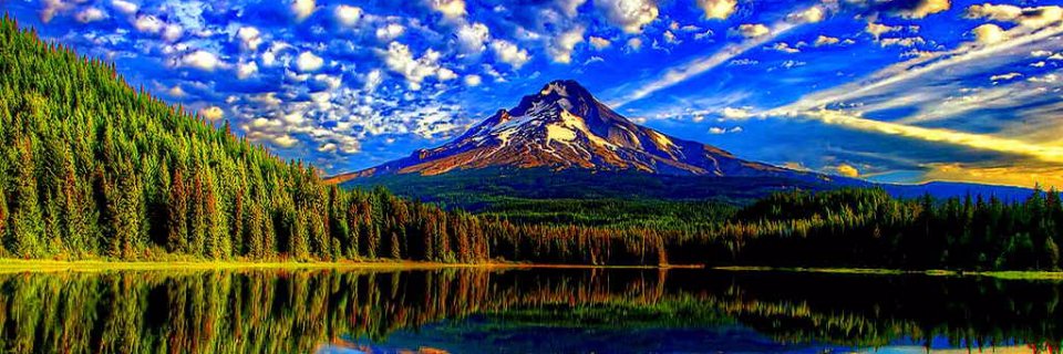 Raleigh SEO Expert banner