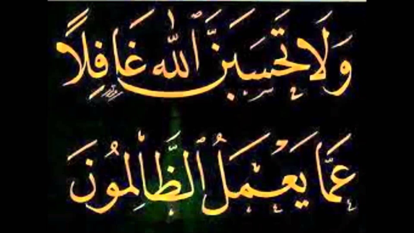 SAGR المراقب ( الصقر ) banner