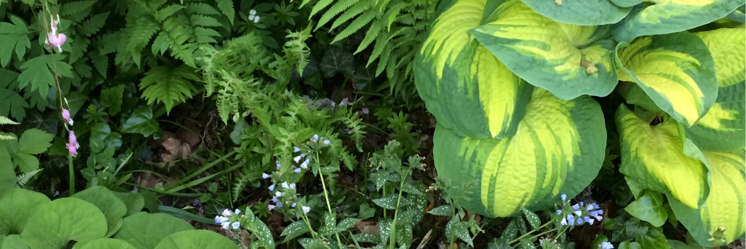 SharonSikes's profile banner image