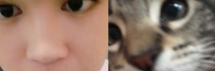 vantemilk's profile banner image