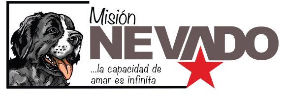 FNevadoCarabobo's profile banner image
