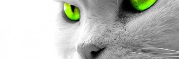 Animal Advisor banner