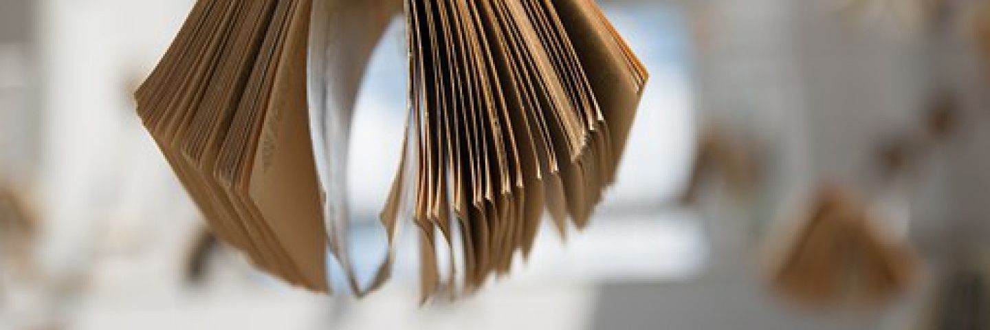 adams_miss's profile banner image