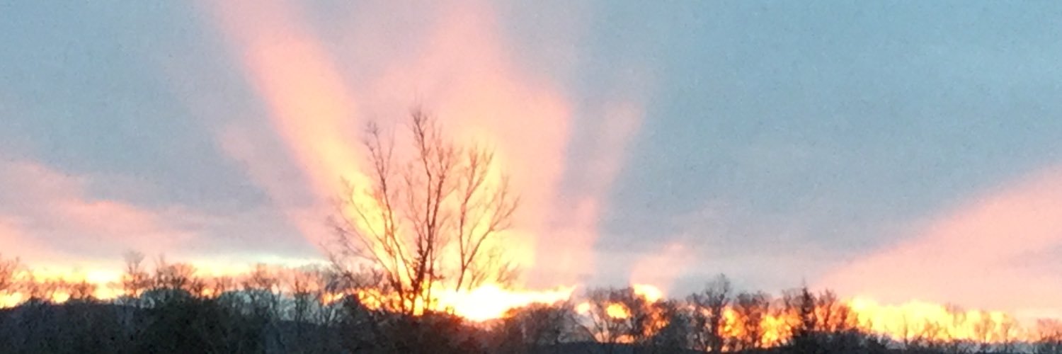 Carolinefc16's profile banner image
