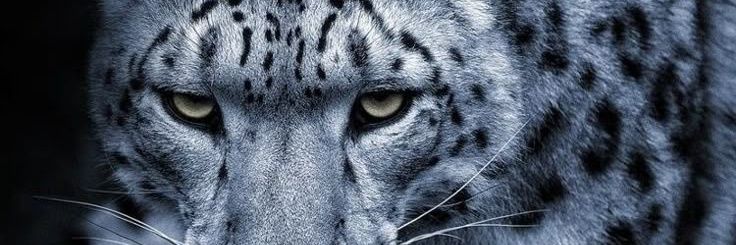 MILLONES_08's profile banner image