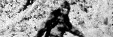 theright_way's profile banner image