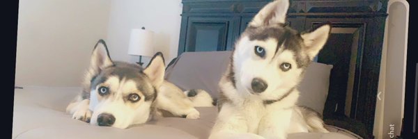 FloydDuran Profile Banner