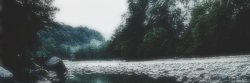 SiennaKozlov's profile banner image