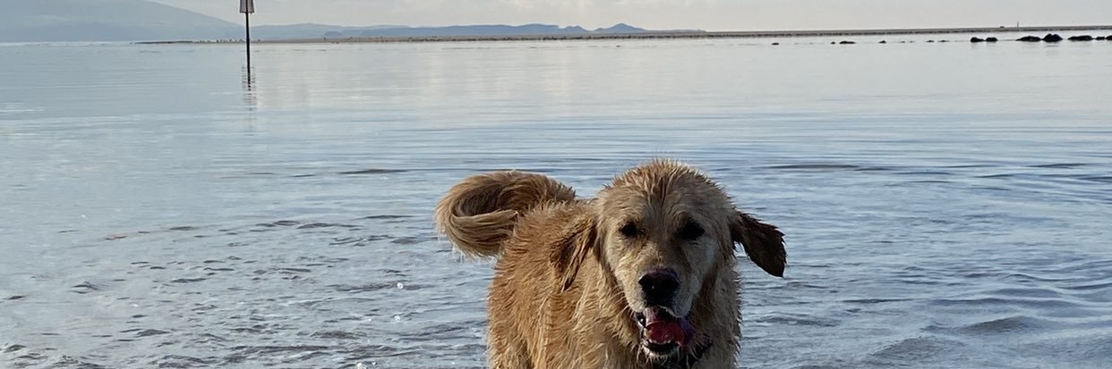 JukeLenkins's profile banner image