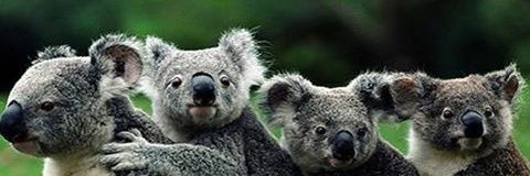 ha_gasy's profile banner image