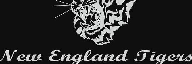 TigersNew's profile banner image