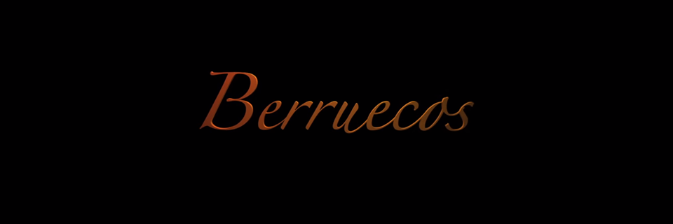 BerruecosFilm's profile banner image