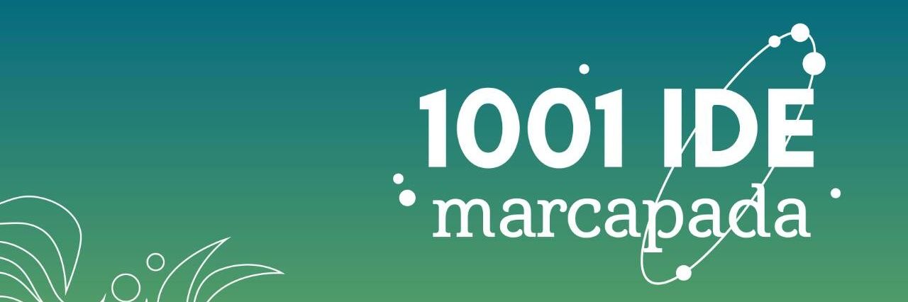 1001 Ide banner