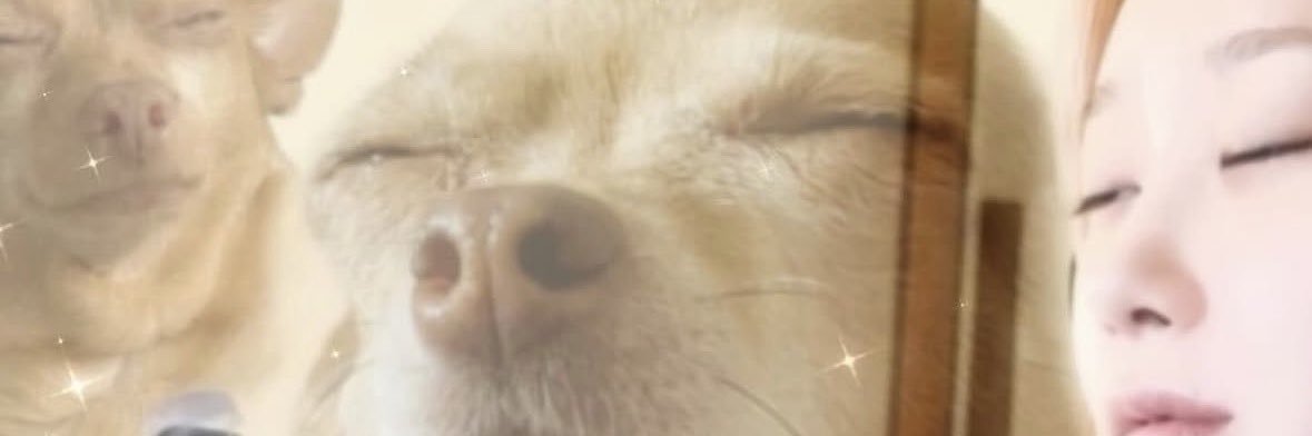 Tomatoecream's profile banner image