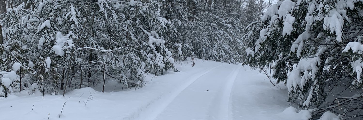 doug_beardsall's profile banner image