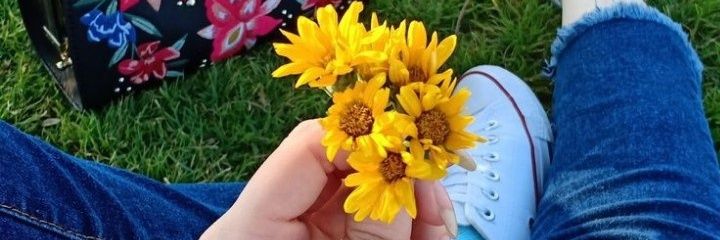 roseee43's profile banner image