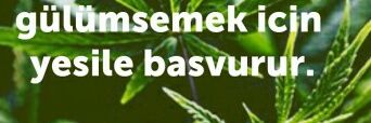 Azeribayan's profile banner image