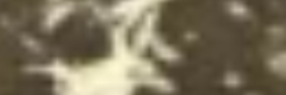 timelinecats's profile banner image