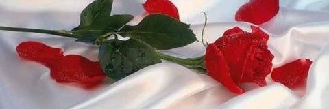 LuAMORIM21's profile banner image