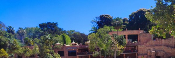 ThembileGee Profile Banner