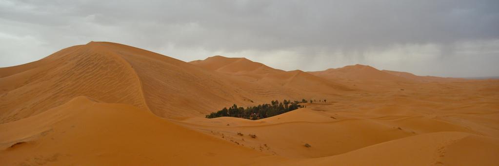 hamimorg's profile banner image