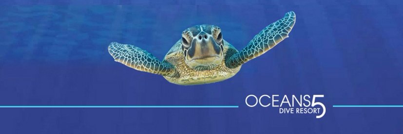 Oceans5dive banner