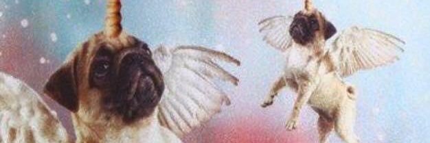 giuliogiuliani_'s profile banner image