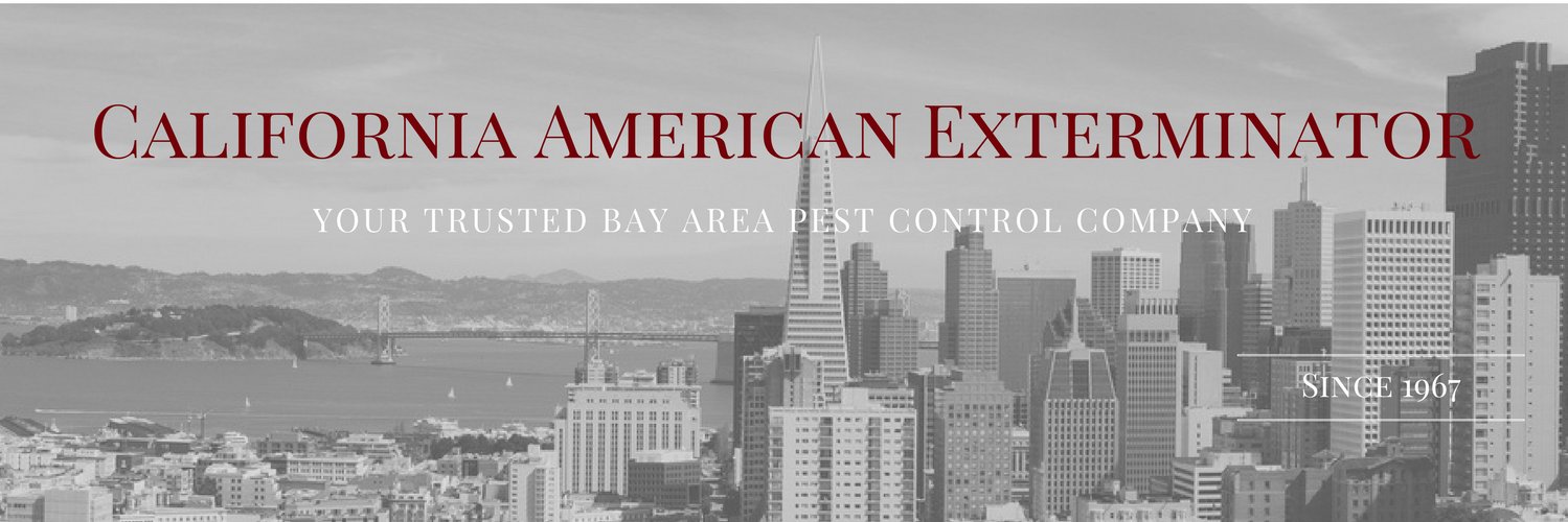 CalAmericanExt's profile banner image