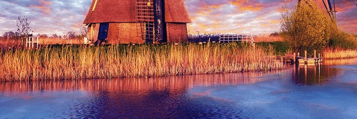 dr_arhy's profile banner image