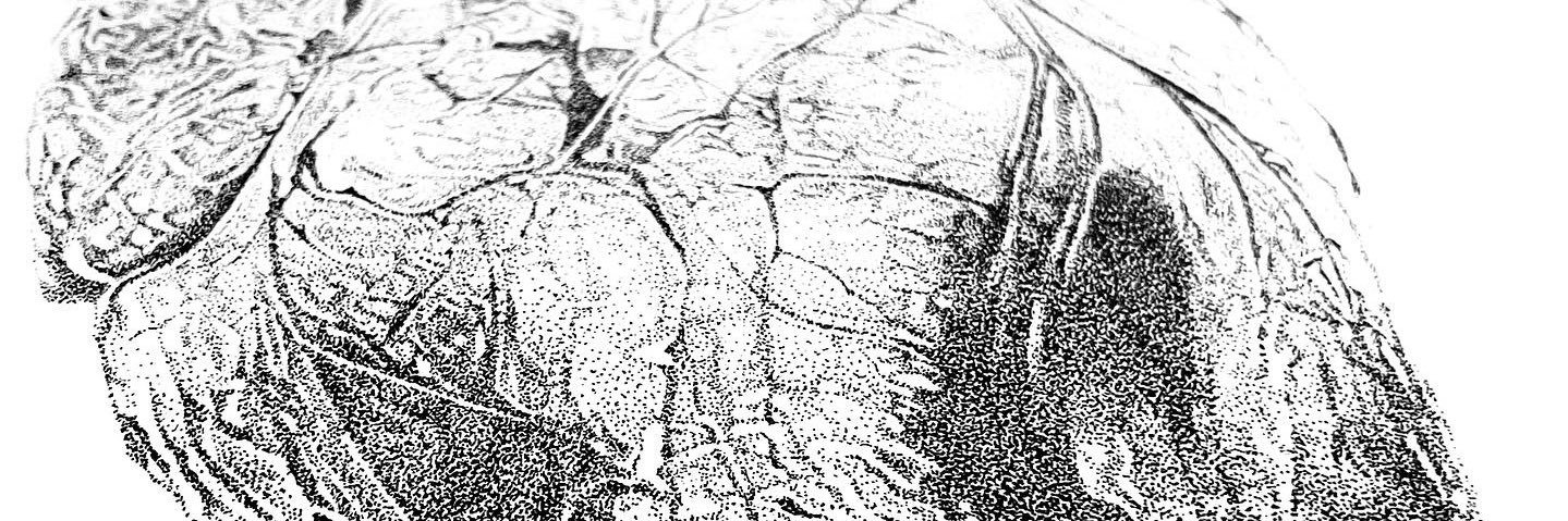 Connor2202_'s profile banner image