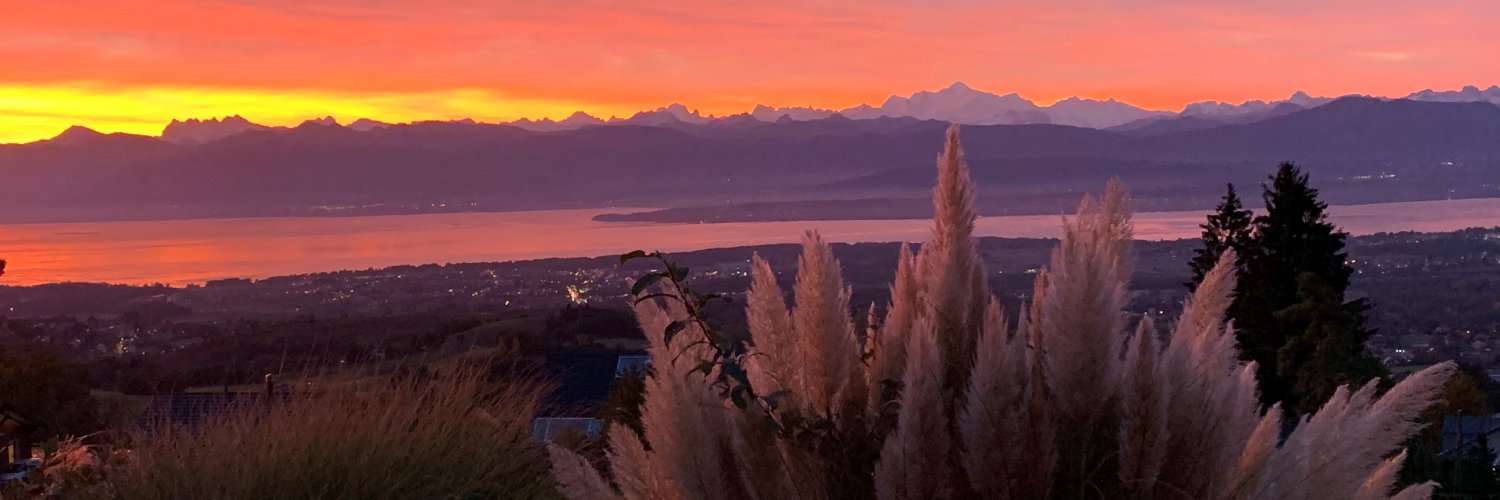 AngiolelliMeyer's profile banner image