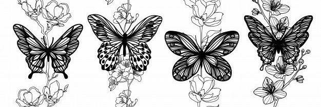 🦋 Nadia Valera banner