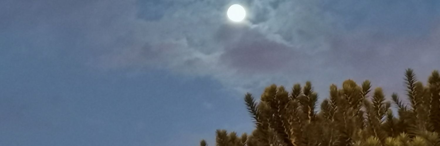 memo5fire's profile banner image