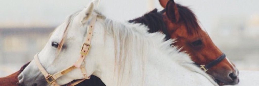 055badah's profile banner image