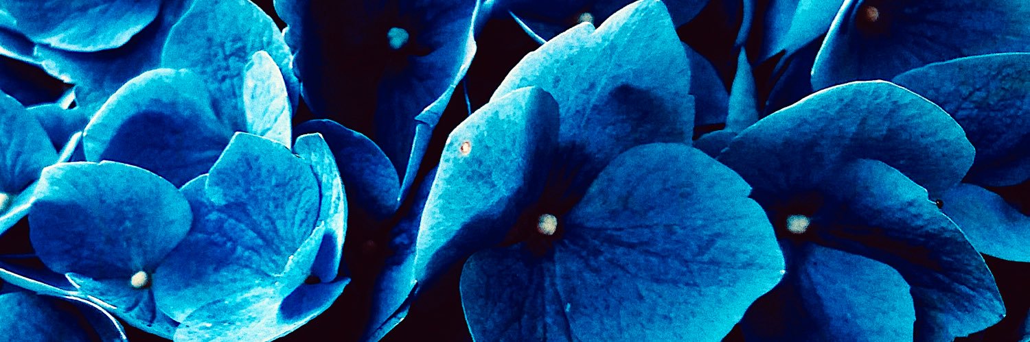ram_paige__'s profile banner image