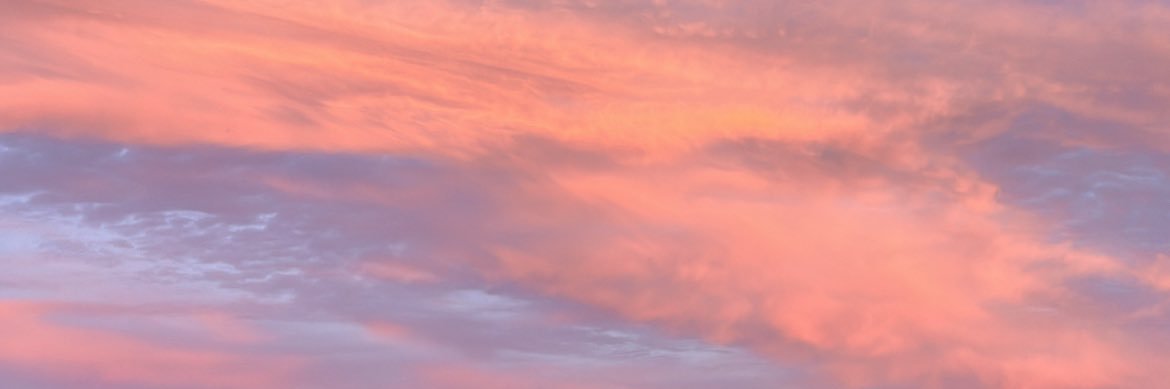 sofiasbraz13's profile banner image