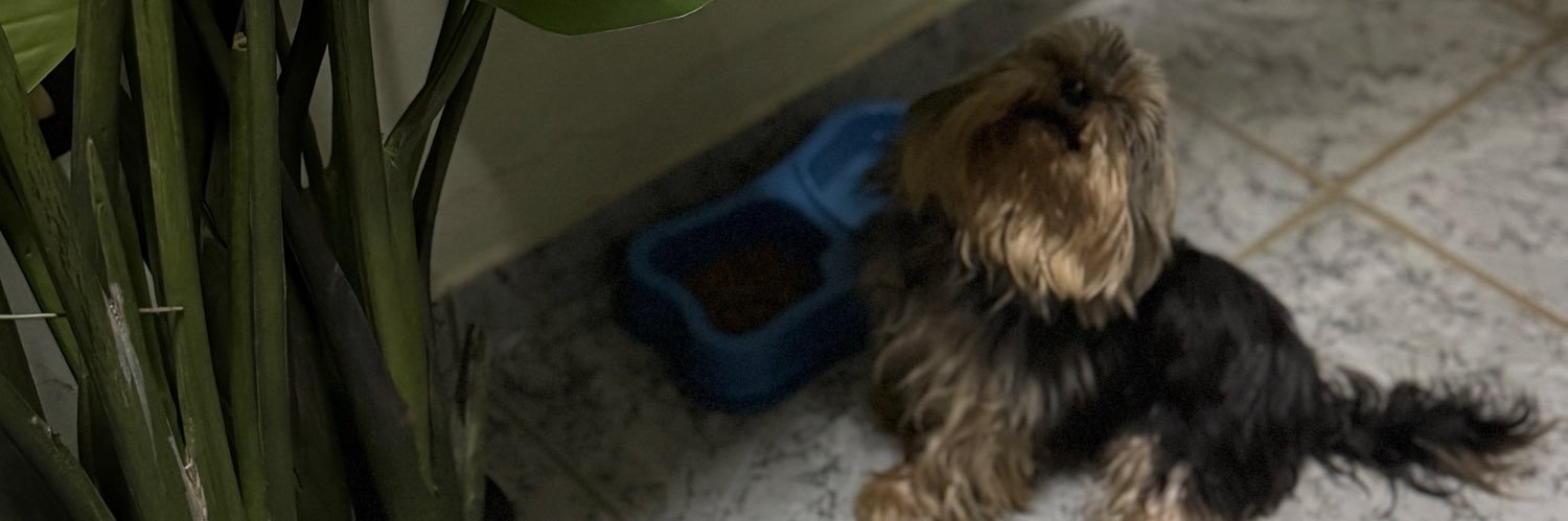 camiilyneves's profile banner image